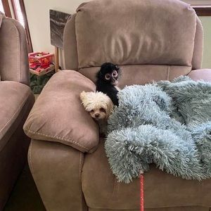 Meet your Posher, Linda